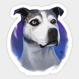 PITBULL DOG Sticker